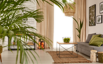 Styling Tips to Attract More Shoot Bookings