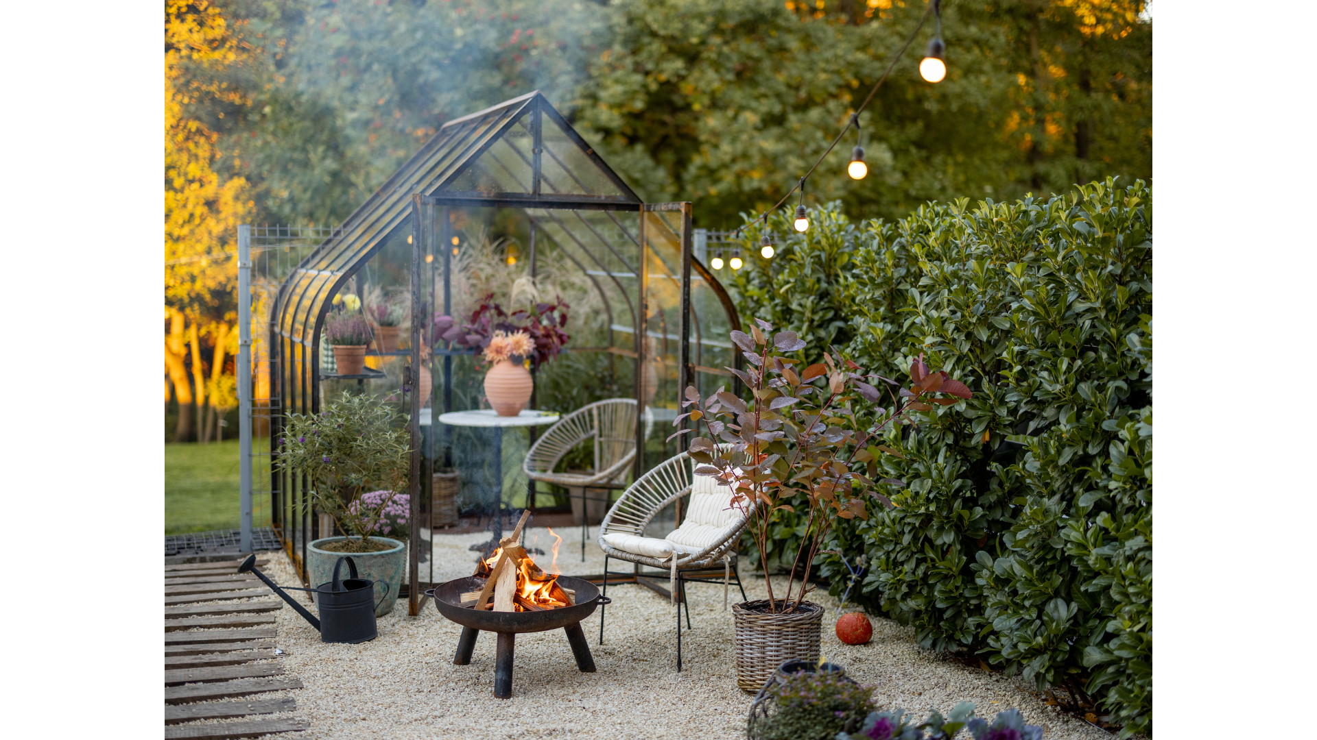 A secluded outdoor shoot location surrounded by tall hedges, providing privacy for clients.